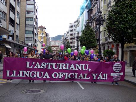 manifestacion dia lletres 2017_2